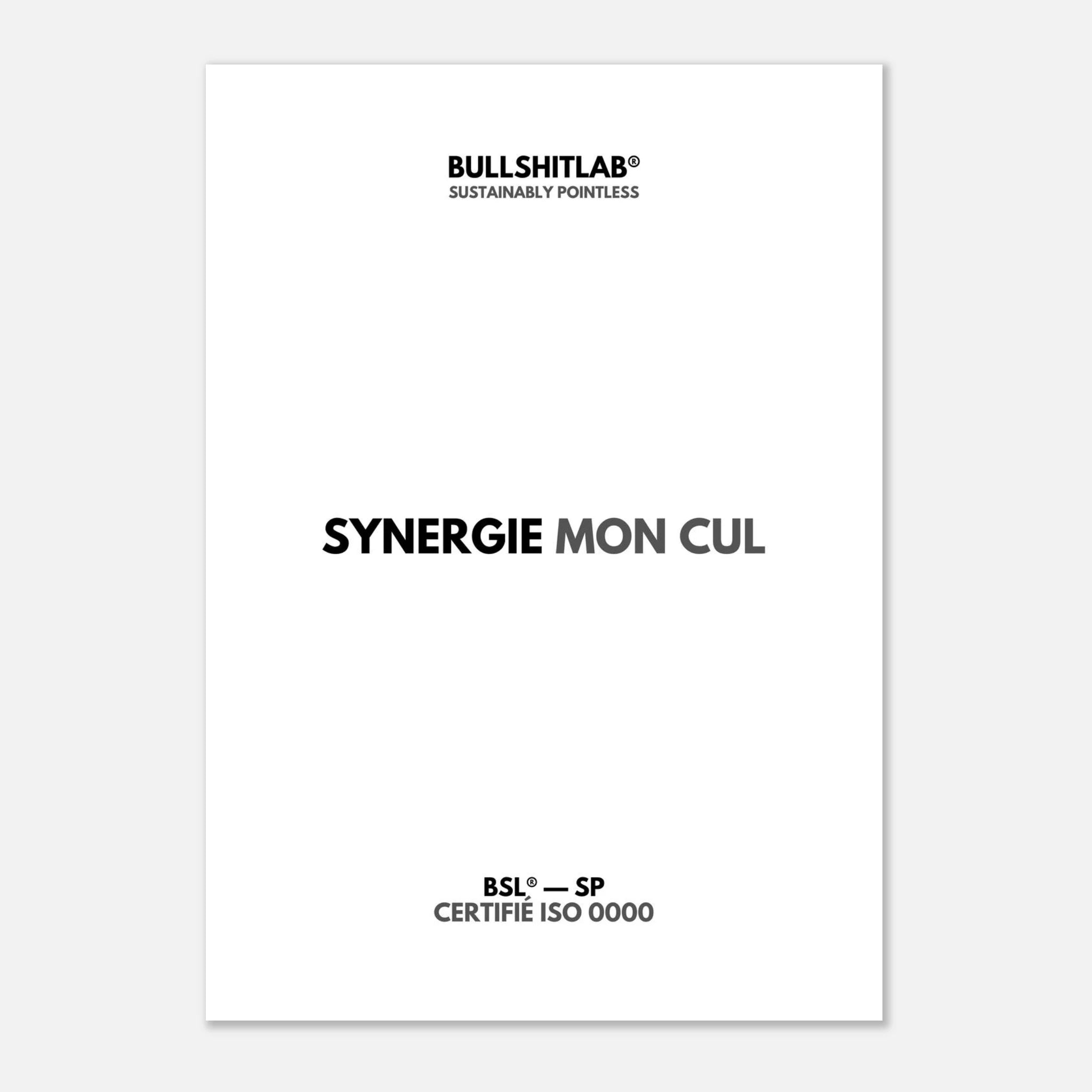 Affiche "Synergie mon cul"