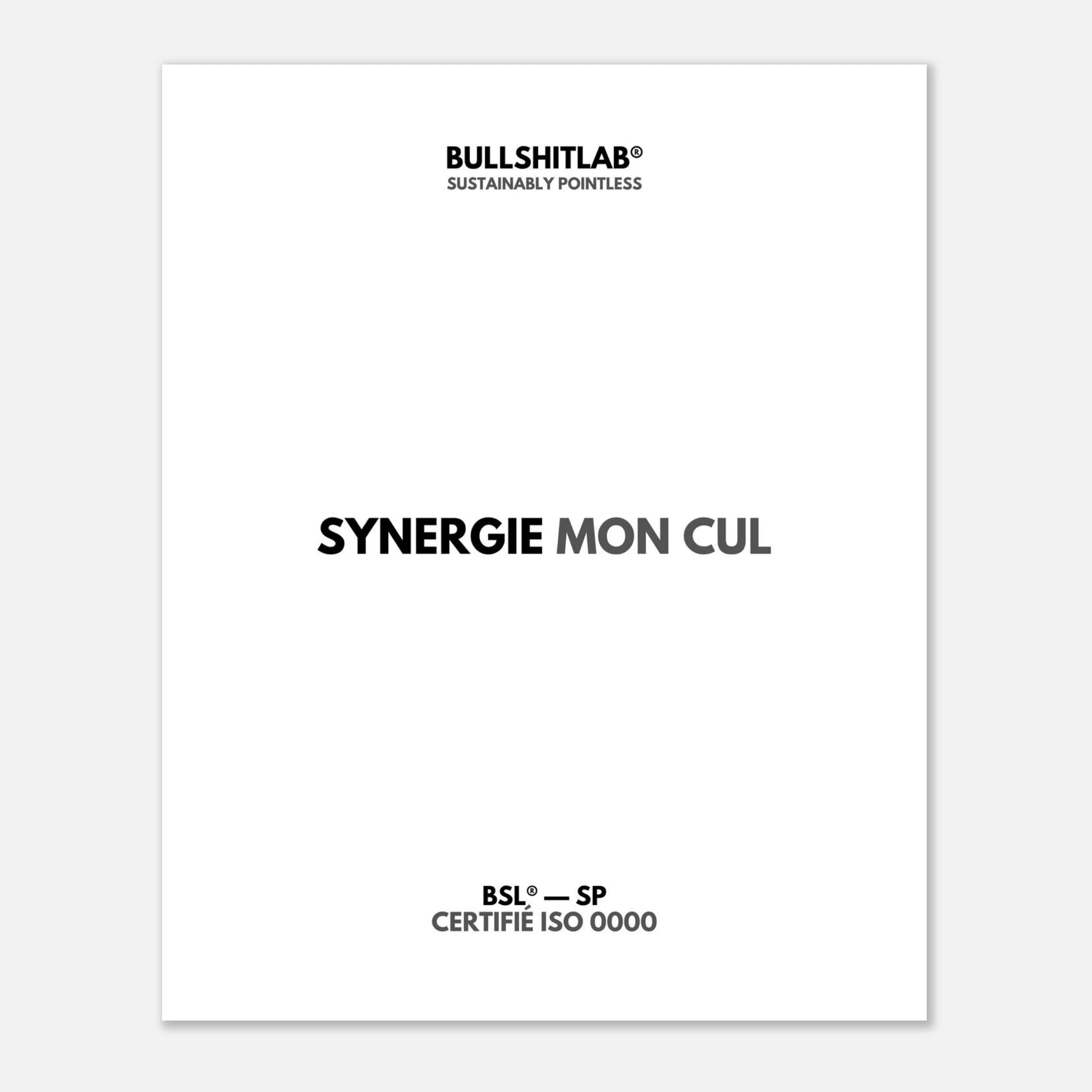 Affiche "Synergie mon cul"